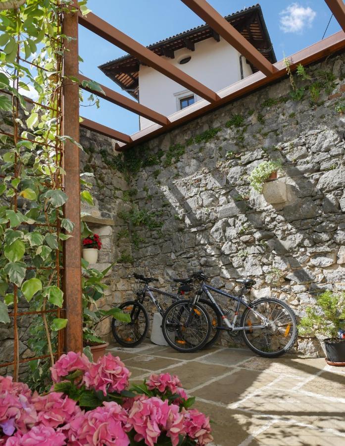 Apartmaji In Sobe Odlicna Hisa Štanjel Extérieur photo